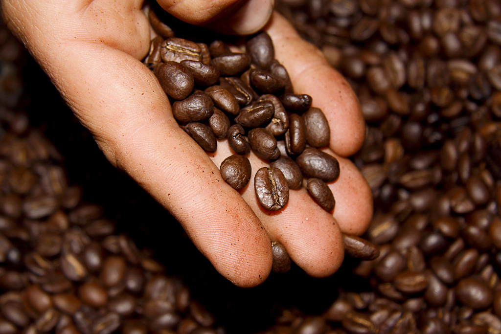 El café es el mejor bronceador natural. Te enseñamos cómo prepararlo en casa